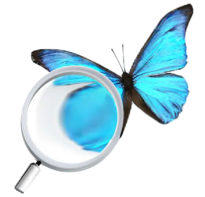 MorphOS in Detail